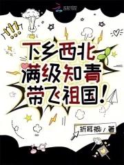 下乡西北