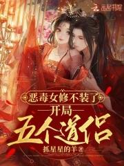 开局五个道侣无弹窗阅读