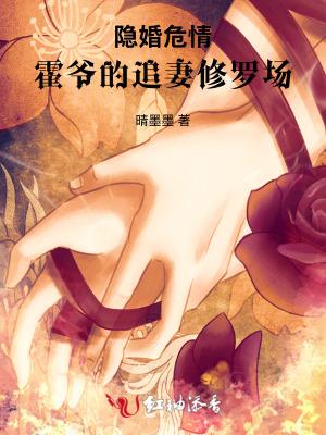 隐婚危情冷面霍少追妻火葬场