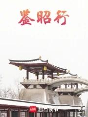 鉴昭行全本txt