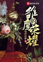 雏鹰的荣耀女主有几个
