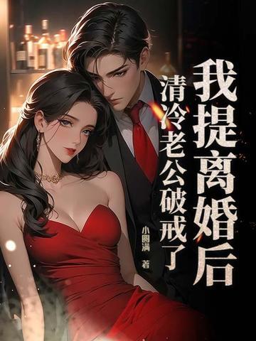 我提离婚后清冷老公破戒了讲的什么