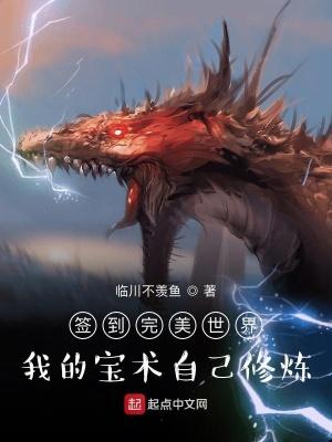 完美世界宝术是什么