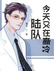陆队今天又在高冷刑侦