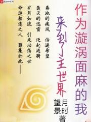 面麻的火影记录TXT