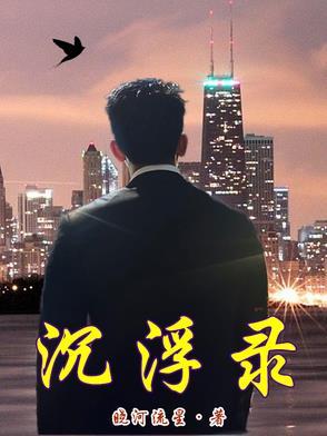 官场沉浮录