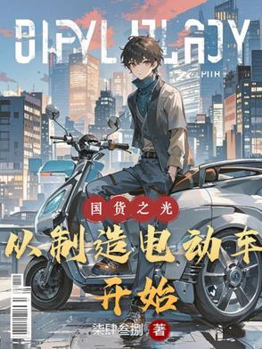 国产电动车是什么意思