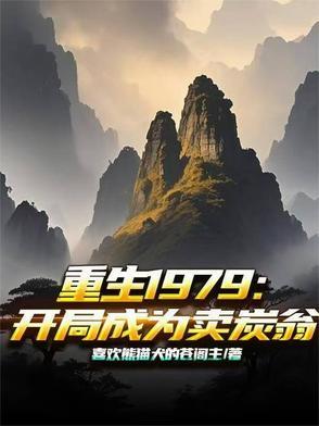 重生1979：开局成为卖炭翁