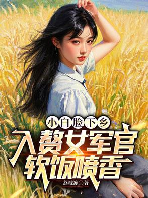 小白脸下乡,入赘女军官软饭喷香